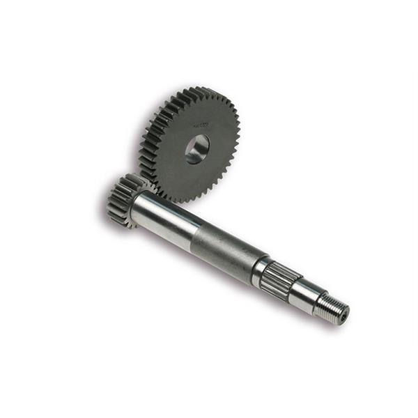 Getriebebersetzung Z 18-45 MALOSSI Primr fr PIAGGIO Leader 125-200ccm 4T AC-LC fr PIAGGIO Leader 125-200ccm 4T AC-LC